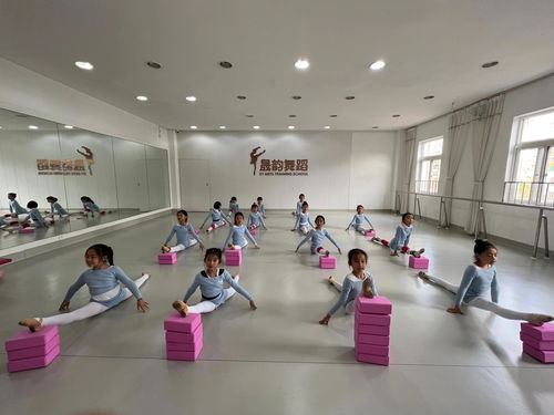 晟韻藝術(shù)培訓(xùn)學(xué)校積極備戰(zhàn)金孔雀杯第七屆少兒舞蹈大賽 營利性民辦藝術(shù)培訓(xùn)機(jī)構(gòu)的專業(yè)探索