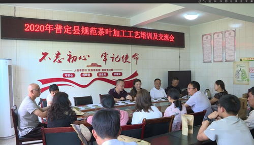 全縣規(guī)范茶葉加工工藝培訓(xùn)及交流會順利召開